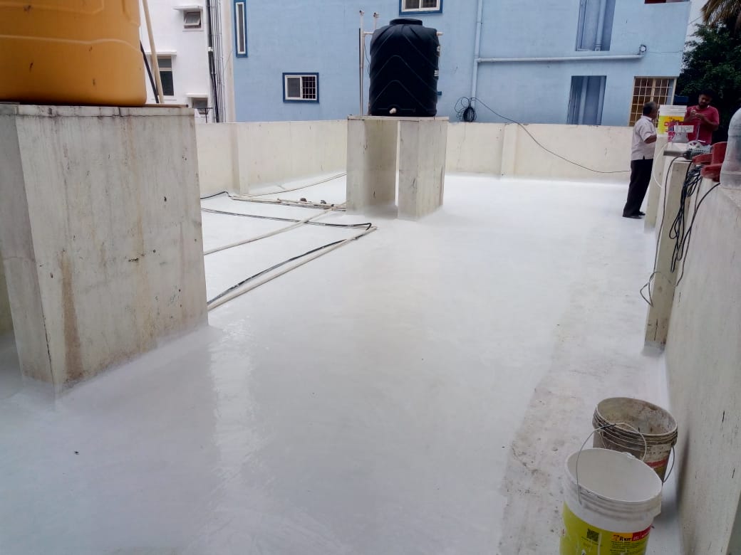 WhatsApp Image 2026-02-03 at 10.05.05 AM (2)